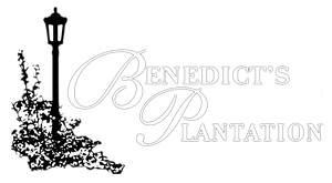 Benedict's Plantation logo top