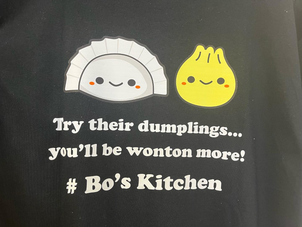 Dumpling T-shirt close up