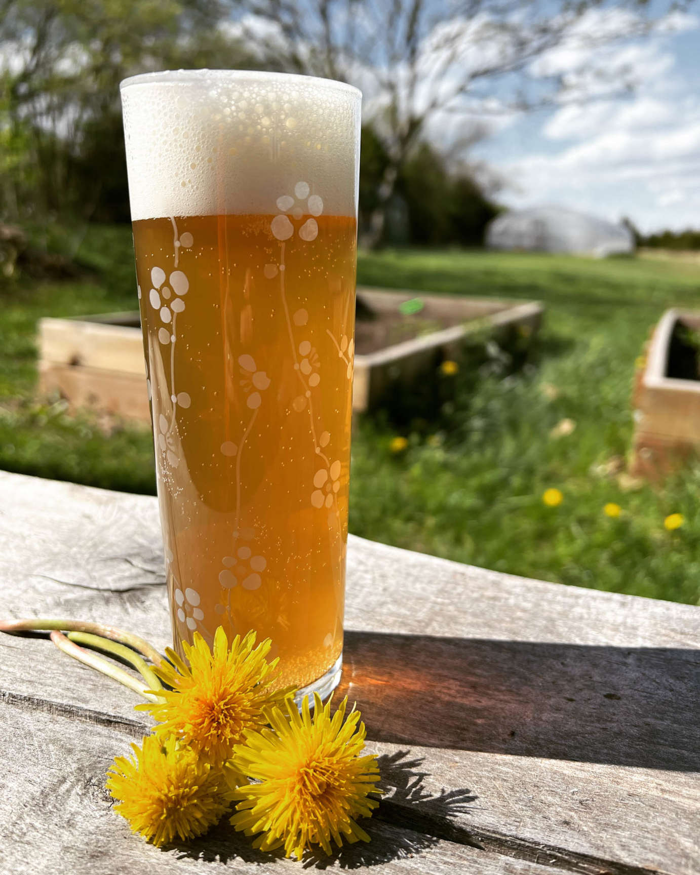 Beverage next to a yellow flower