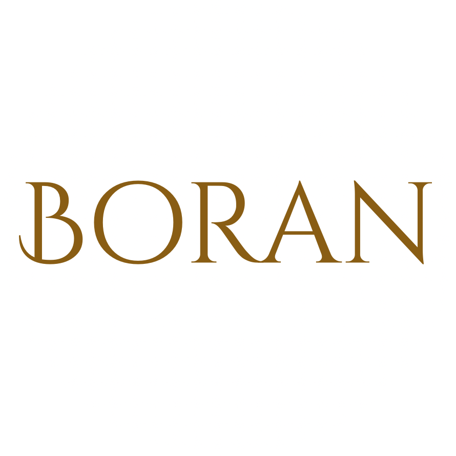 Boran logo top - Homepage