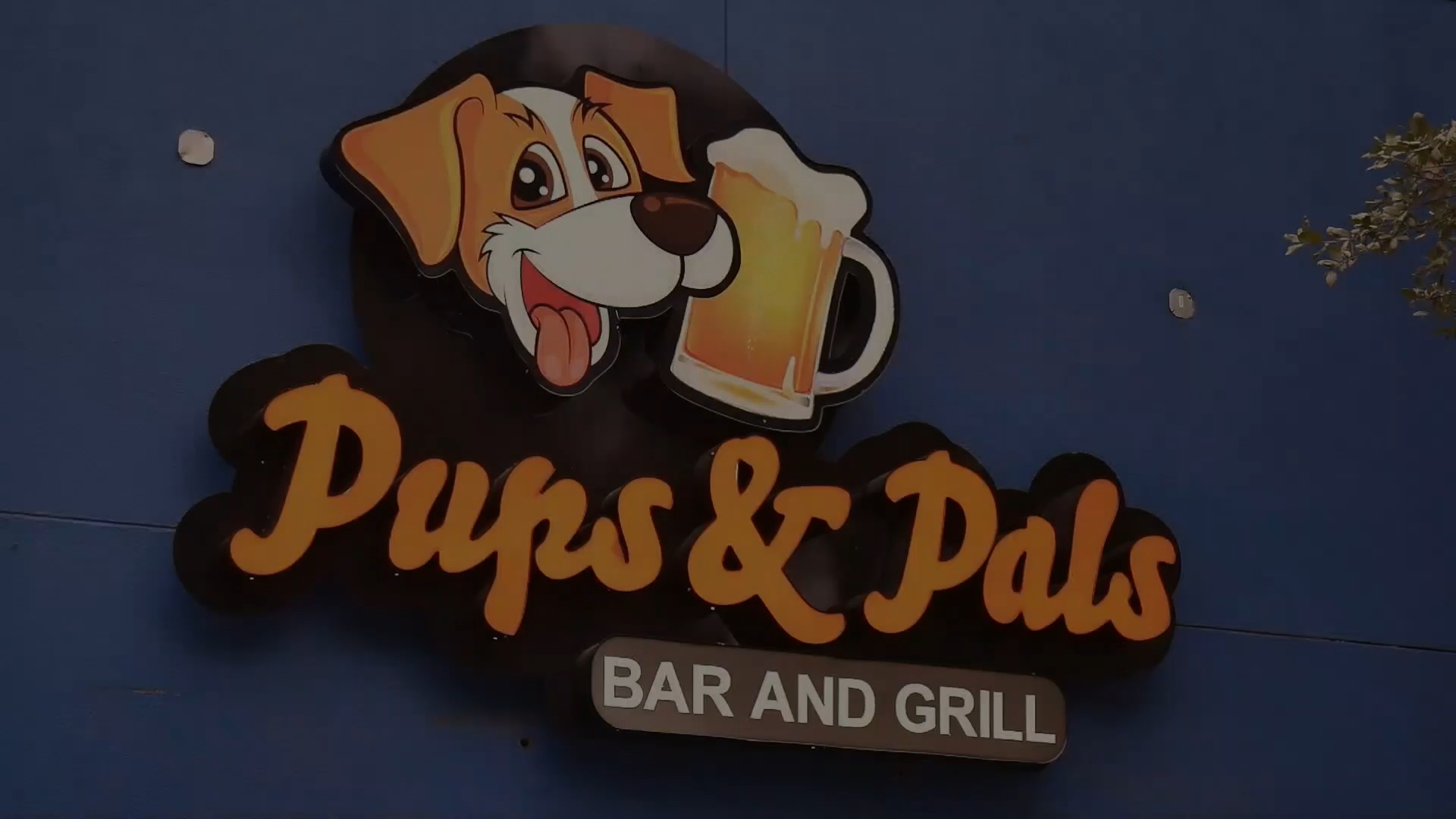 Pups and pals cheap pet care