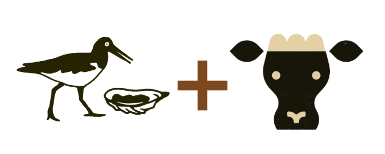 Outlaw Oyster plus Crafty Cow logos