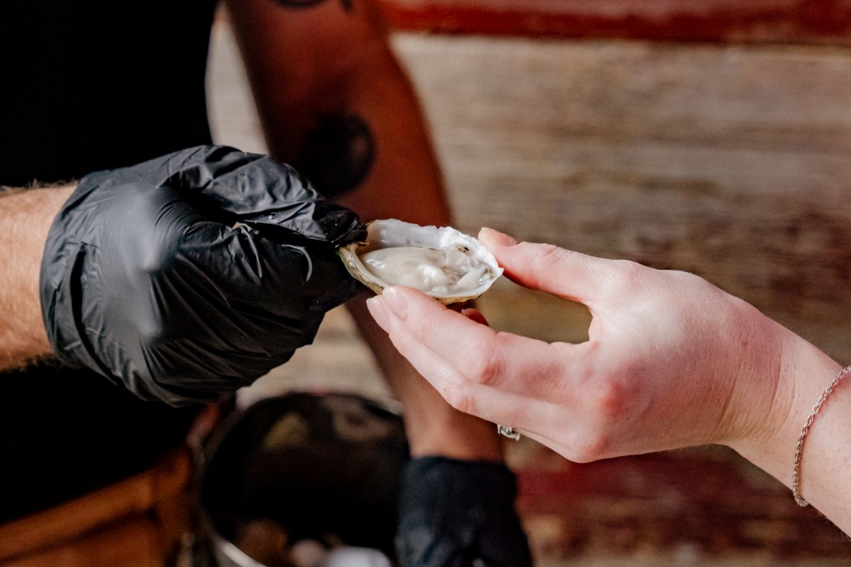 Shucker in black gloves handing a fresh oyster to a guest