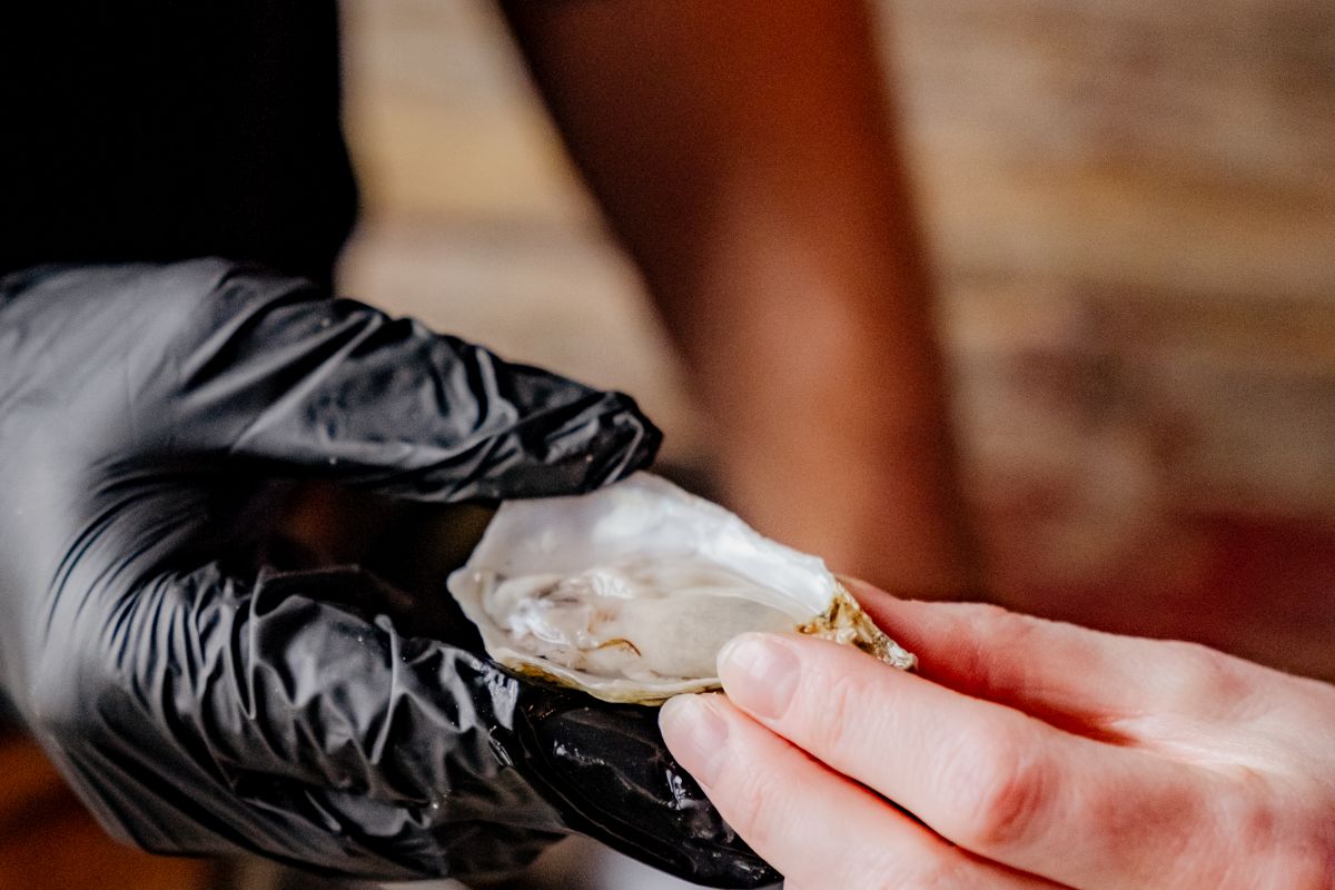 Freshly opened oyster being handed over