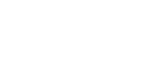 Papillon 25 logo top - Homepage