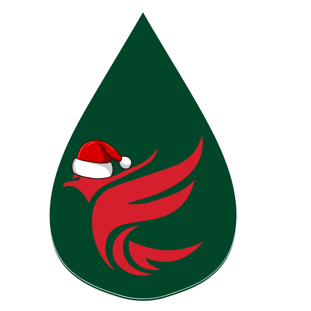 Merry Fulkin Christmas photo