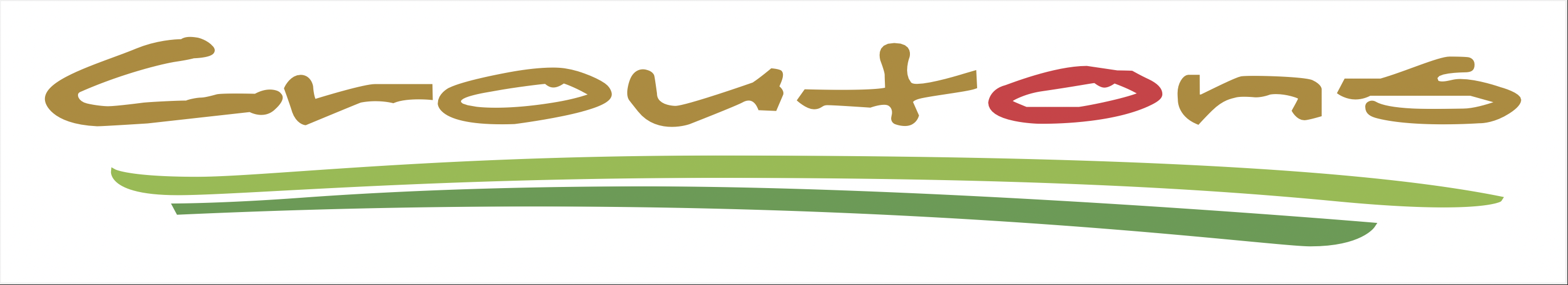 Croutons logo top - Homepage