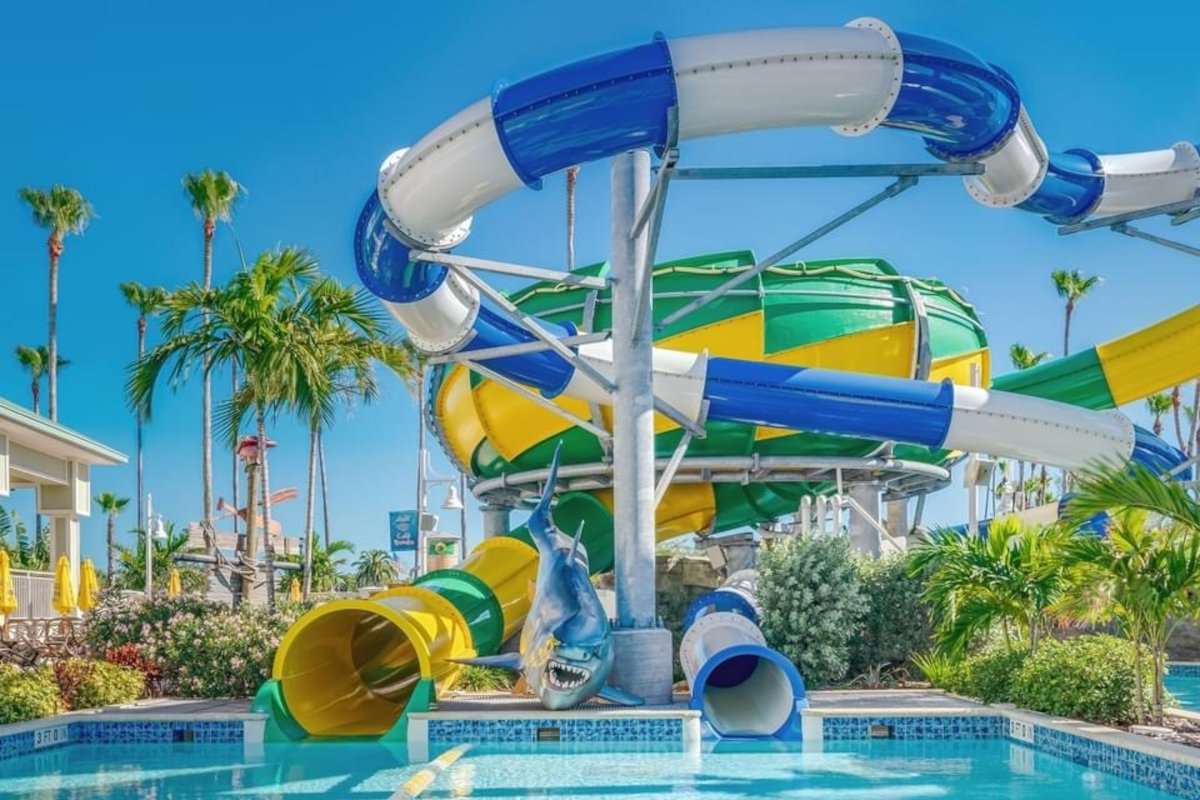 A water slide at a resort with palm trees