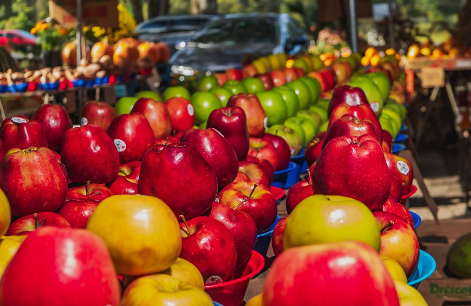 Rudy Fresh Produce De Leon Springs, FL