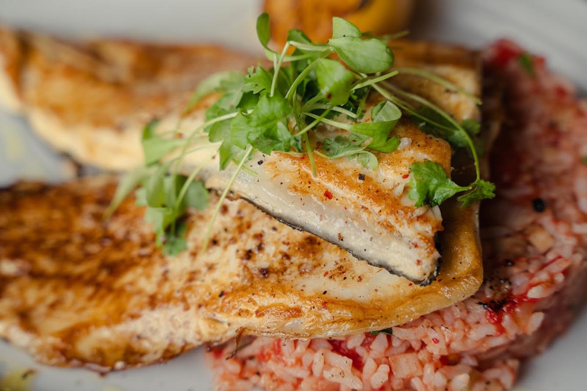 Trout fish meet served with rice