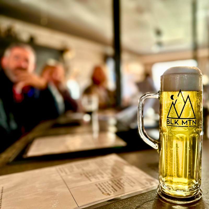 party slide photo number 4