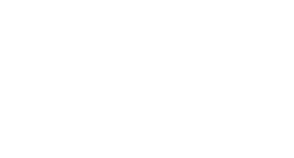 Revolution Taco logo top