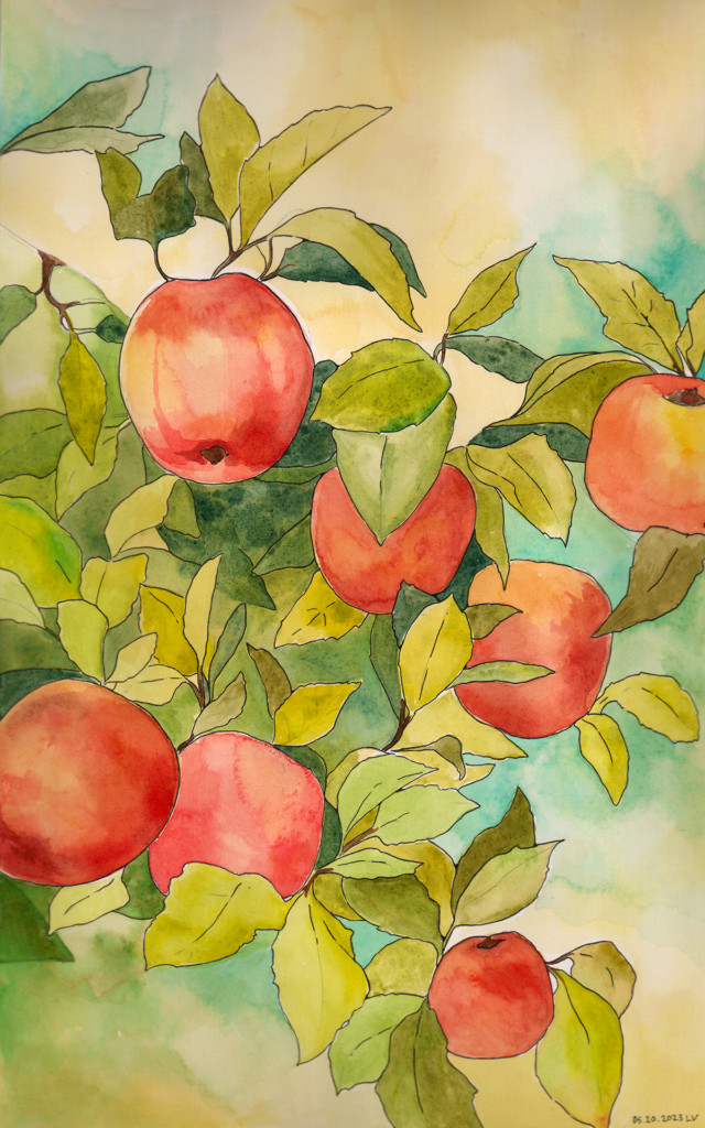 Watercolor illustration of several peaches