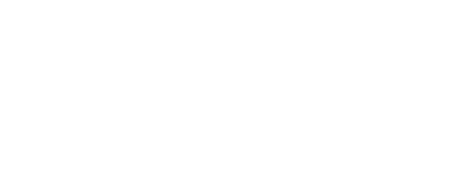 PulpoBeer Company logo