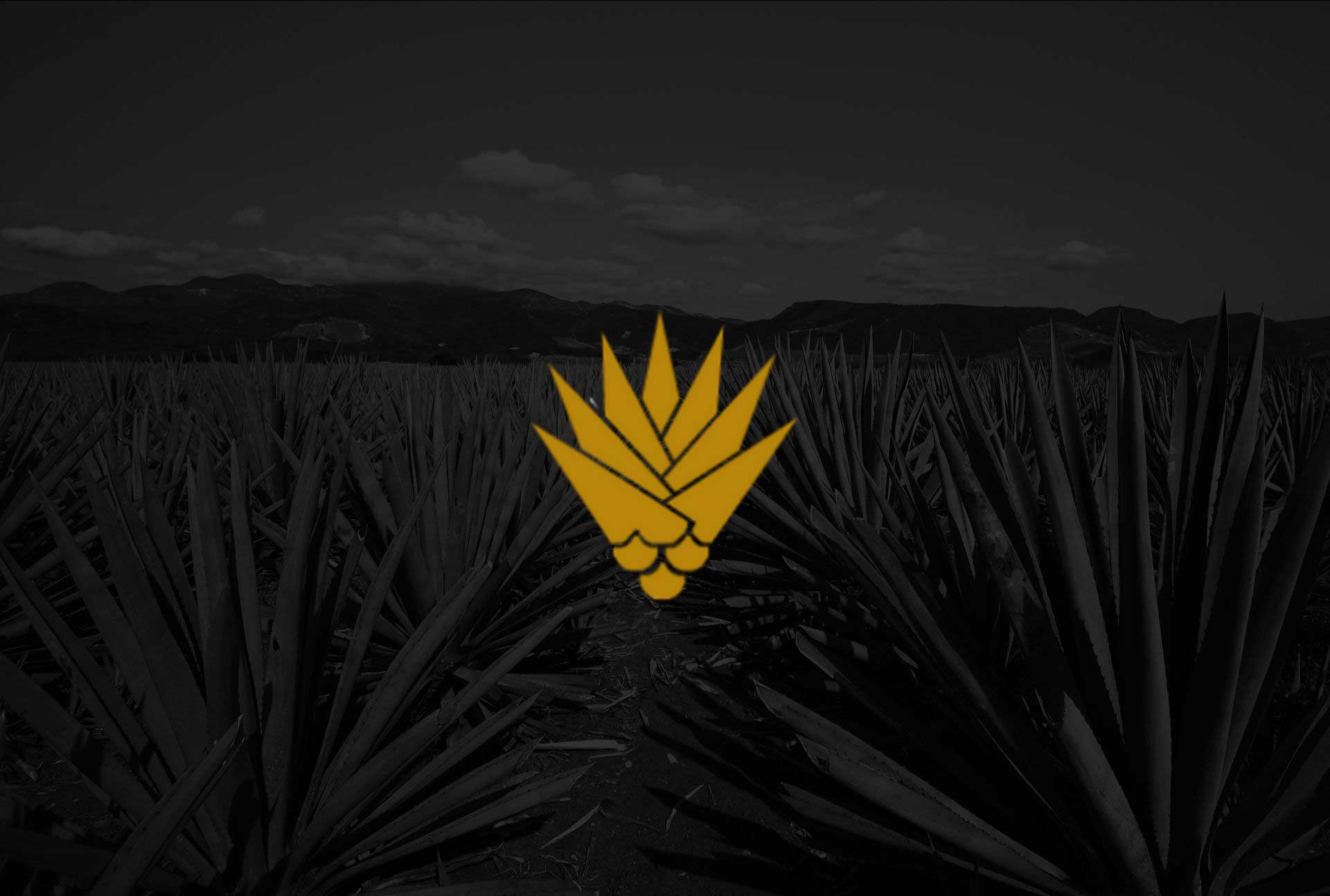 Blue Agave Club Pleasanton, CA