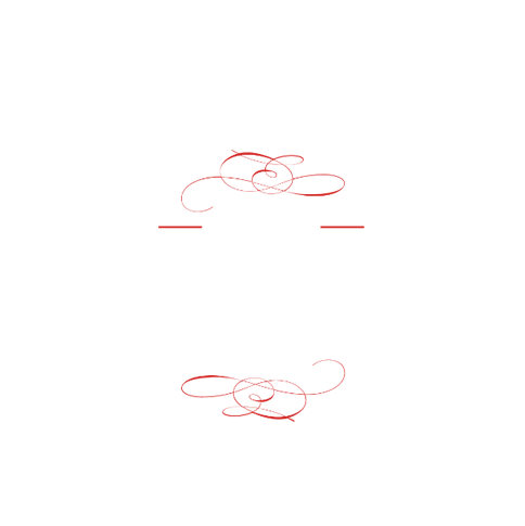Bourbon Group Landing Page logo cover