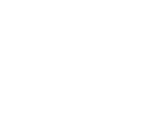 The Half Pint logo top - Homepage