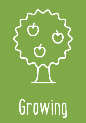 Growing tree image card