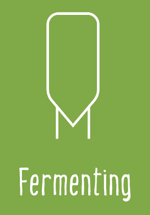 Fermenting image card