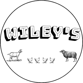 Wiley’s logo top