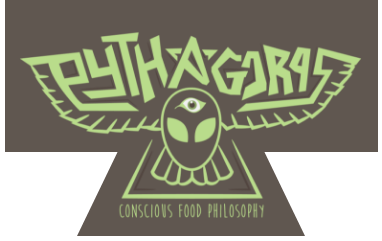 Pythagoras logo top - Homepage
