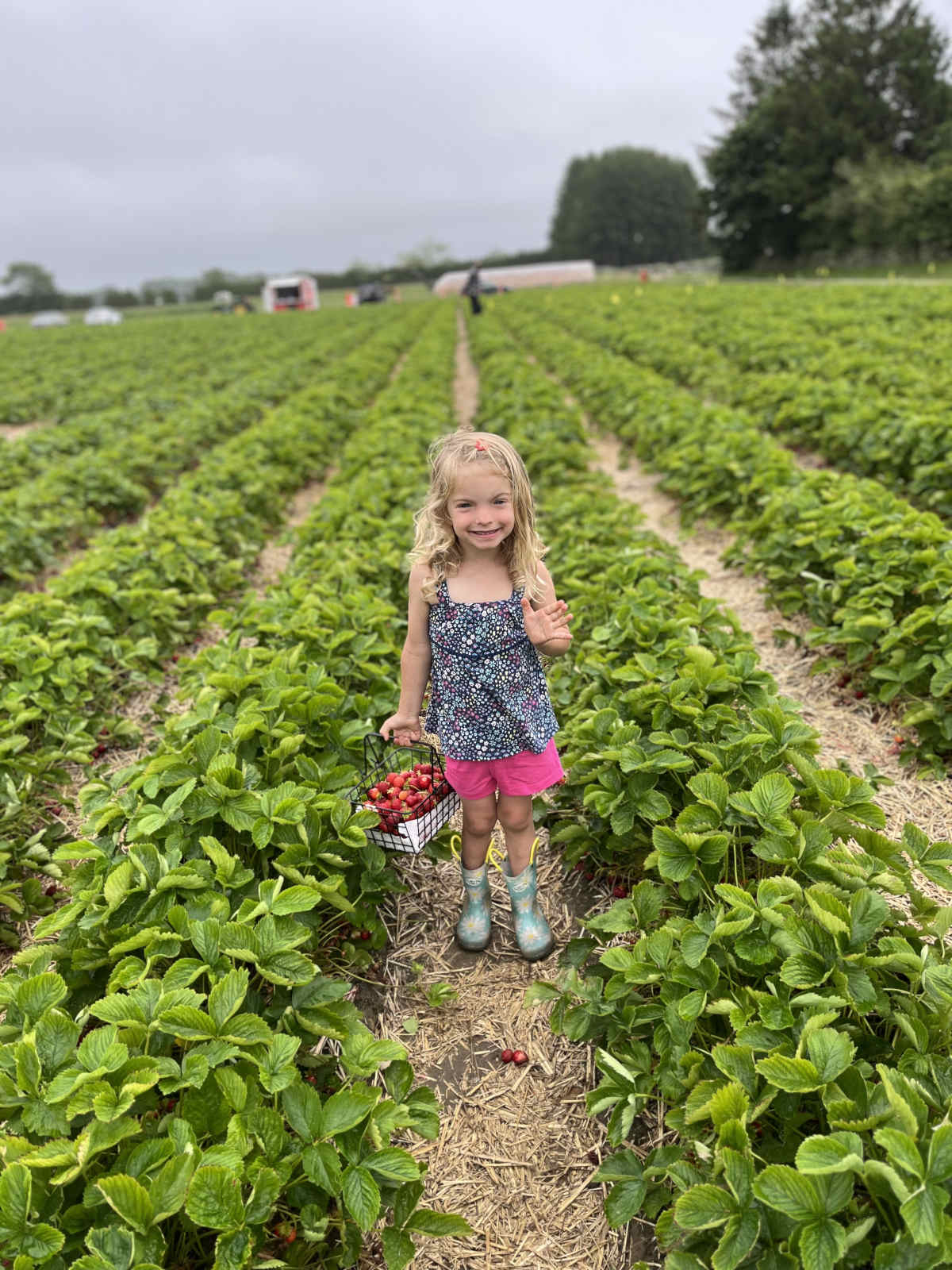 Young girl smiling in a strawberry field with a basket