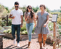 a group of people walking in a garden