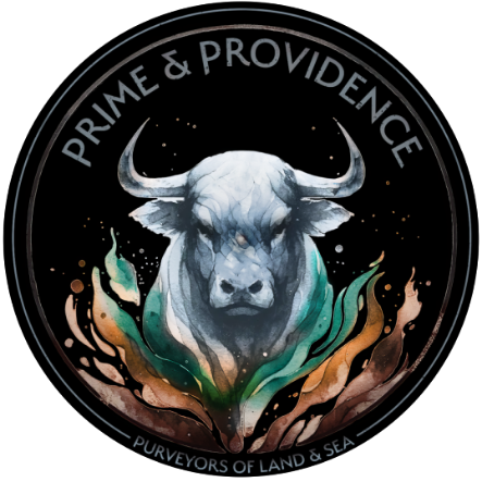 Prime & Providence logo cover
