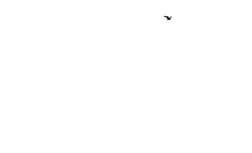 Il Sole  La Nuova Cucina logo top - Homepage