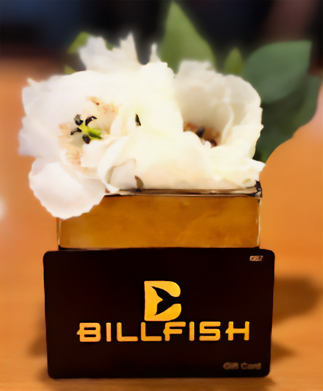 Billfish Gift Card