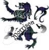 Morrison-Burbank logo top - Homepage