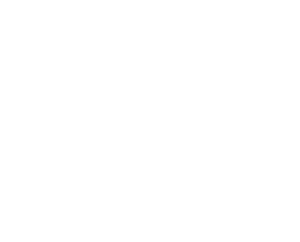 Stir Fry Cafe Website