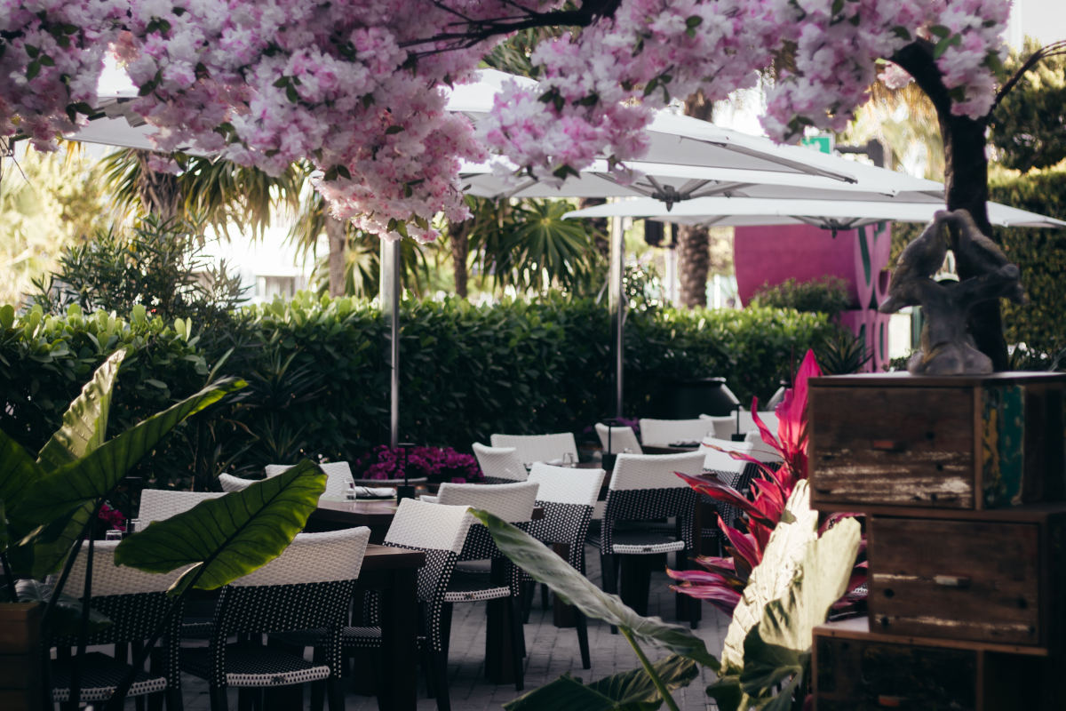 Rustic restaurant patio featuring tables and chairs under a leafy tree