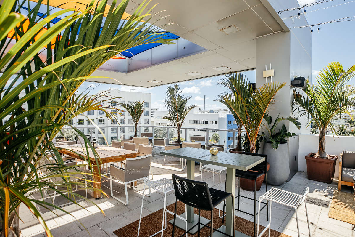 Rooftop patio at hotel adorned with palm trees, creating a tropical ambiance