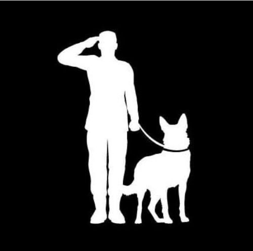 Service Dogs for Veterans