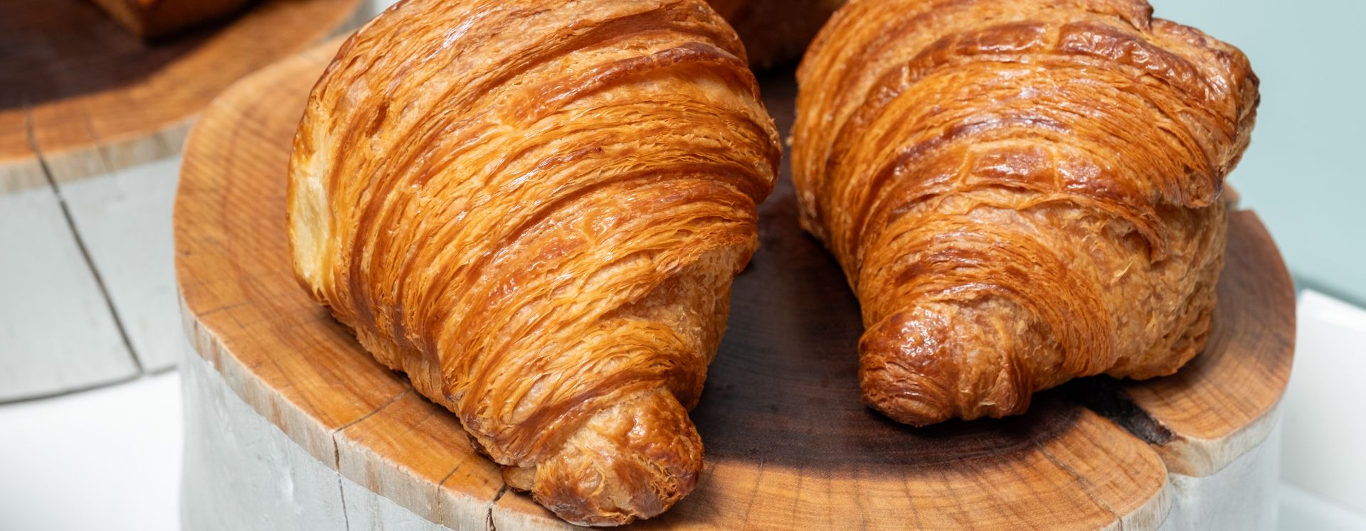 The Den By Craftsman And Wolves