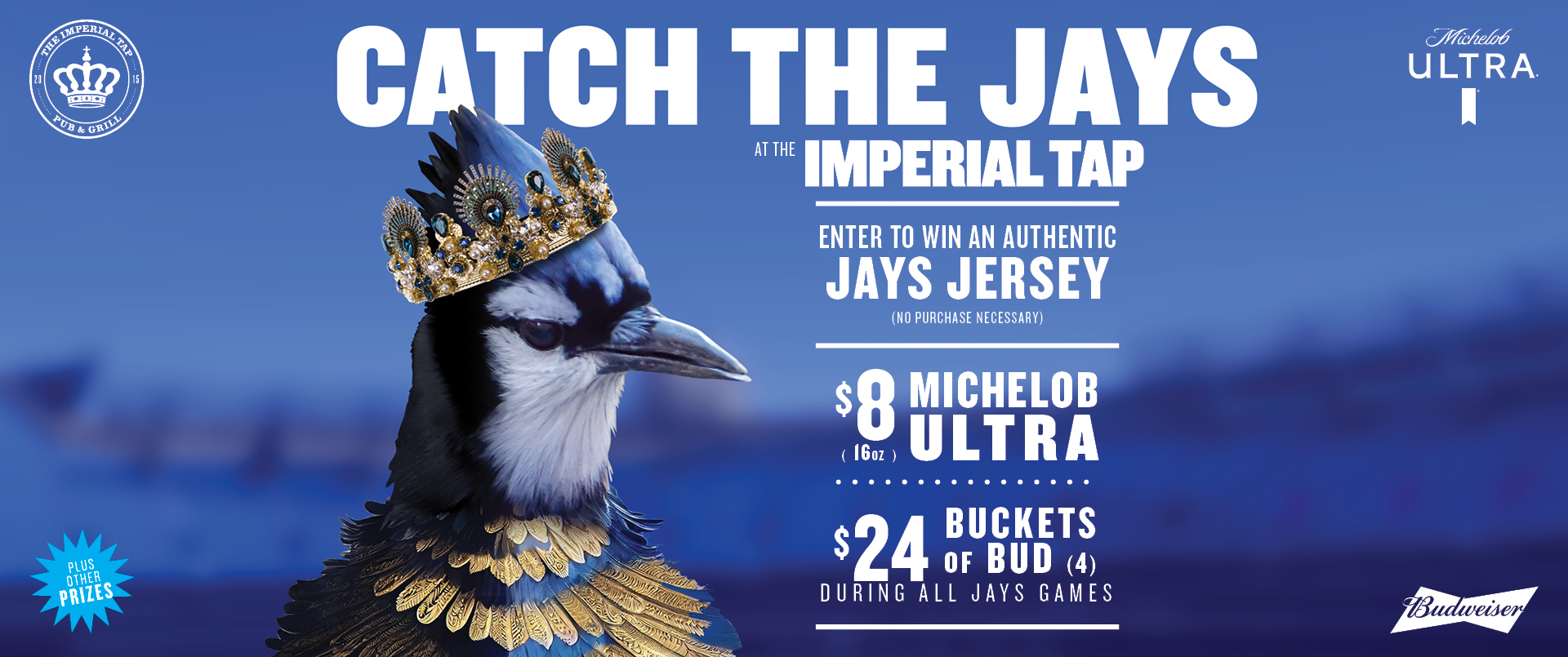 Catch the jays at the Imperial Tap