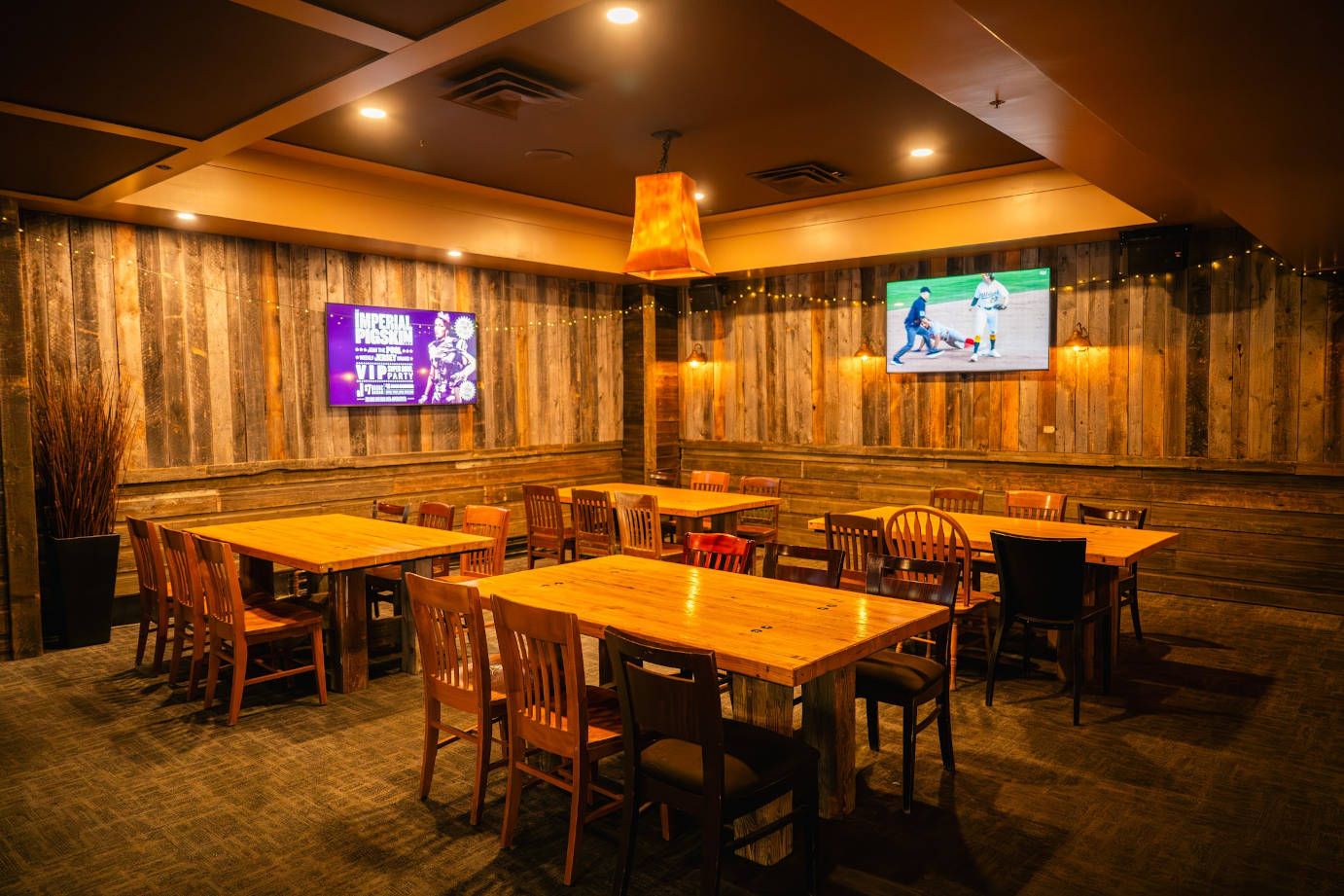 party slide photo number 6