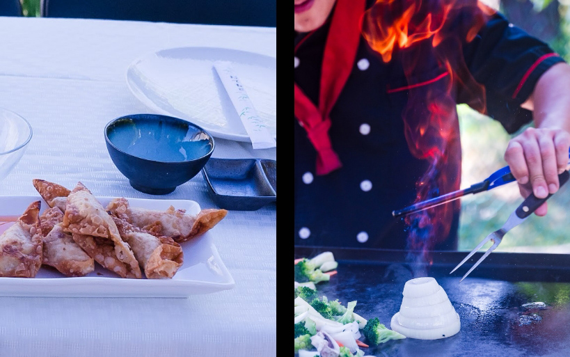 Mobile Hibachi Boston -Cape Cod MA NH RI CT ME Hibachi At Home Cater