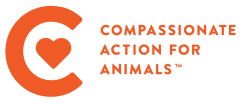 Discover the 2024 Twin Cities Vegan Chef Challenge Winners on the Compassionate Action for Animals