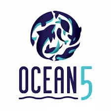 Ocean 5