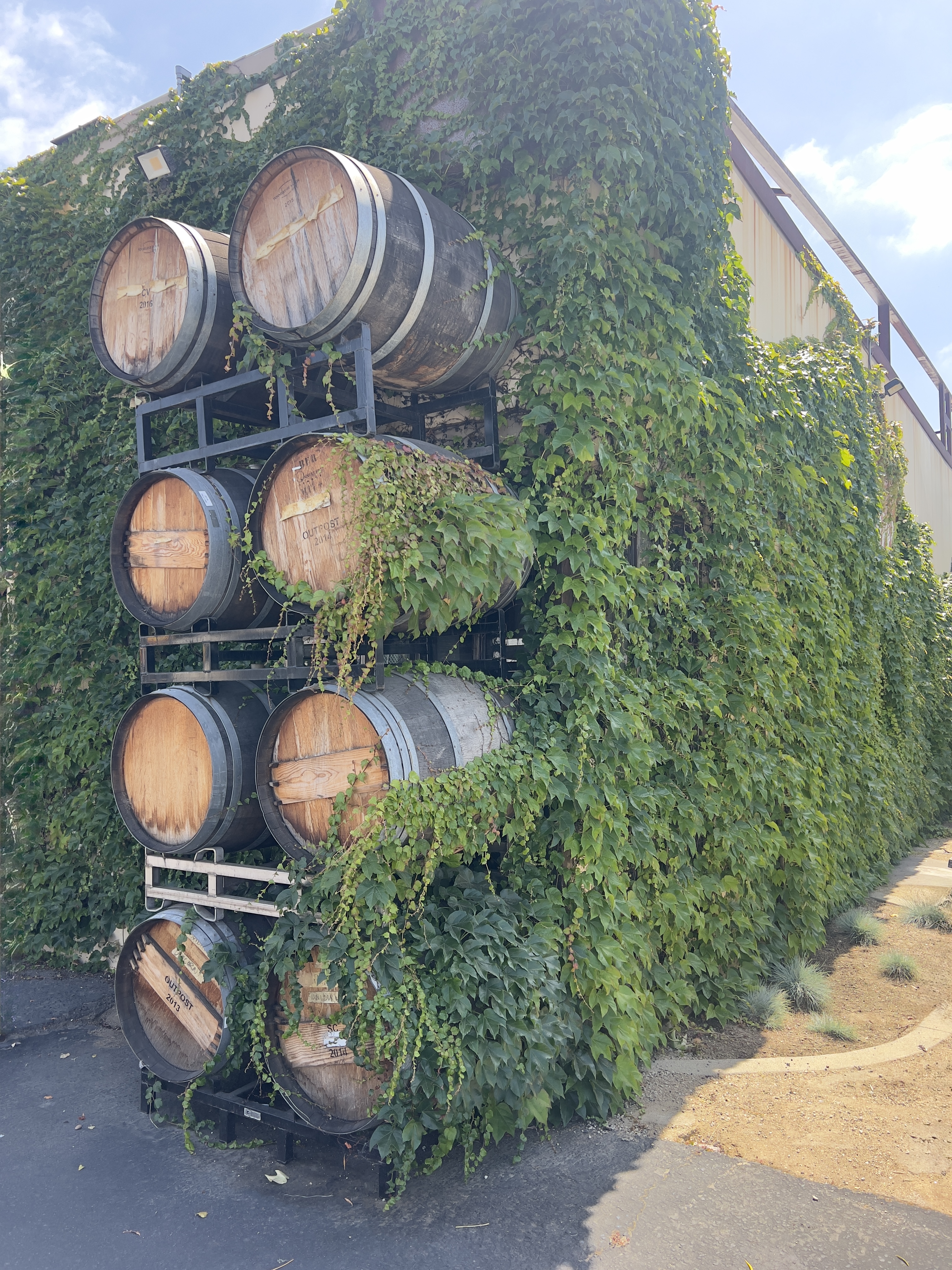 Stacked wine barrels beside an ivy covered building.