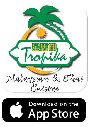 download on the app store