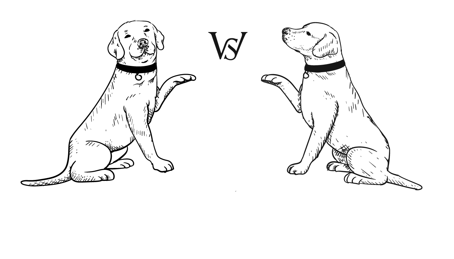 Walnut Springs Winery logo top - Homepage