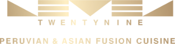 Level TwentyNine logo top - Homepage