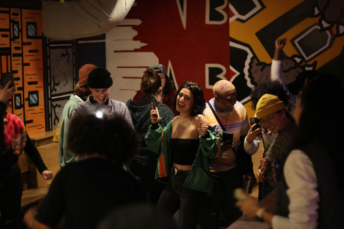 party slide photo number 4