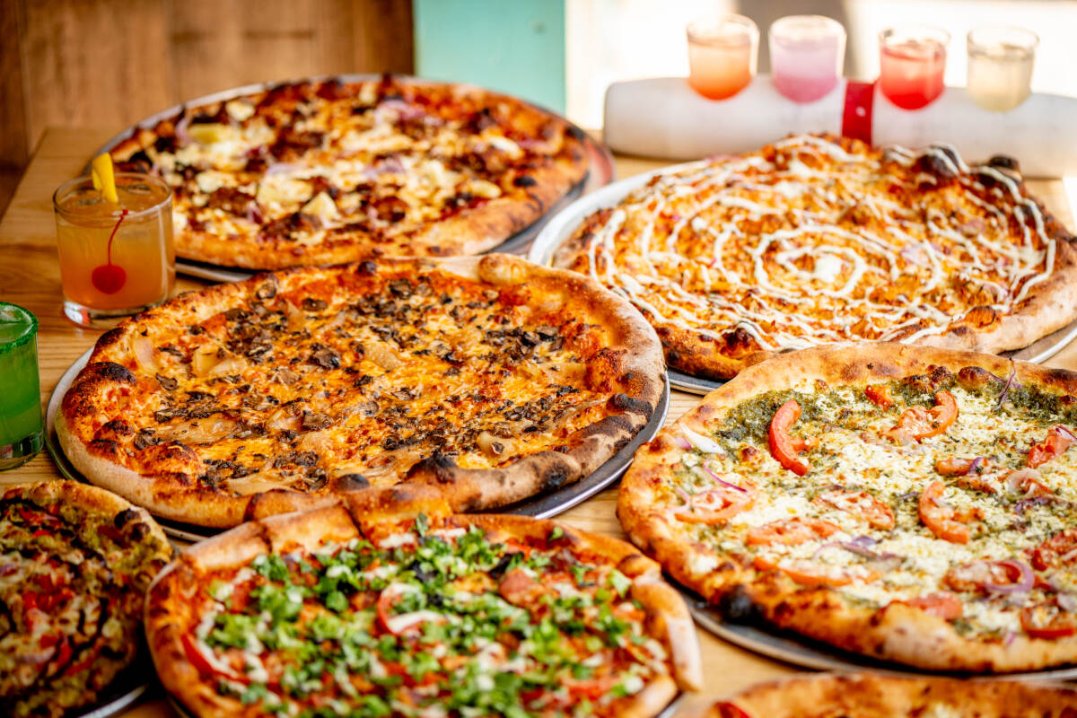 party slide photo number 2