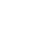 Rare Bird logo top - Homepage