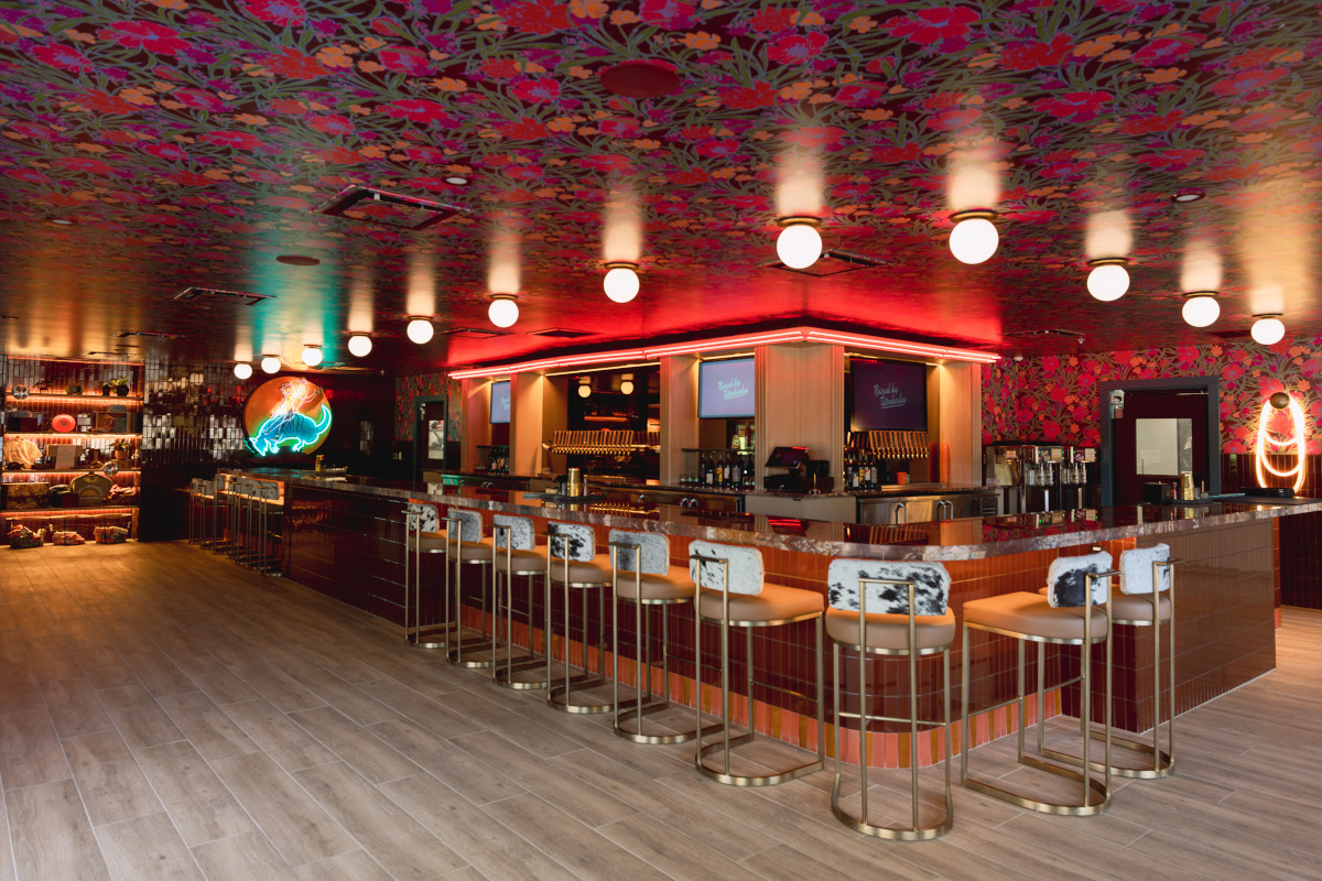 Neon Armadillo interior