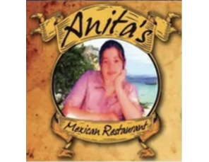 Anita's logo top - Homepage